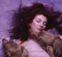 a woman laying on a bed with two dogs