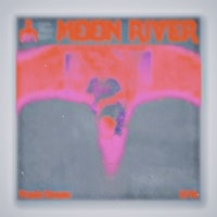 the cover of the album moon river